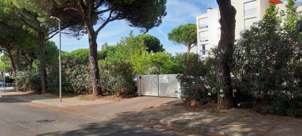 T 2 Mottland 300 M Plage La Grande Motte Exterior foto